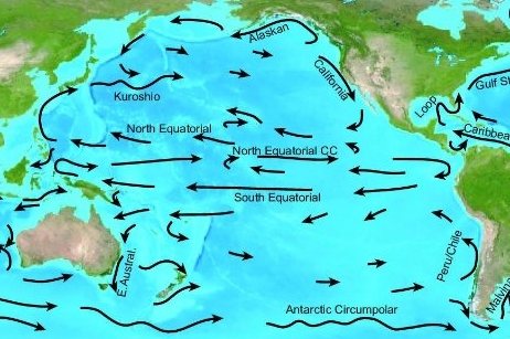 Pacific_Ocean_Currents